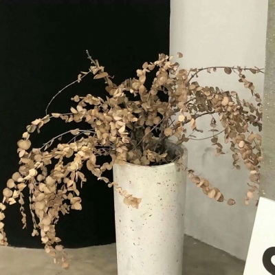 兴仁FurryQQ群介绍